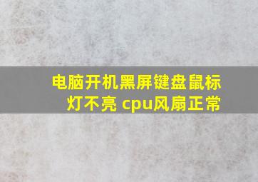 电脑开机黑屏键盘鼠标灯不亮 cpu风扇正常